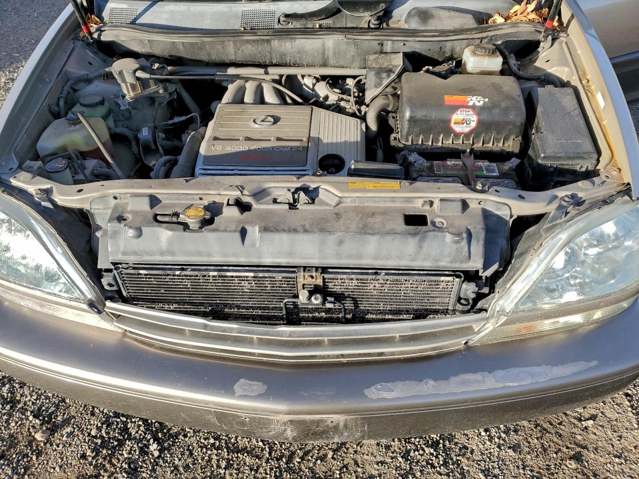 2002 Lexus Rx 300 VIN: JTJHF10U820251679 Lot: 93259495