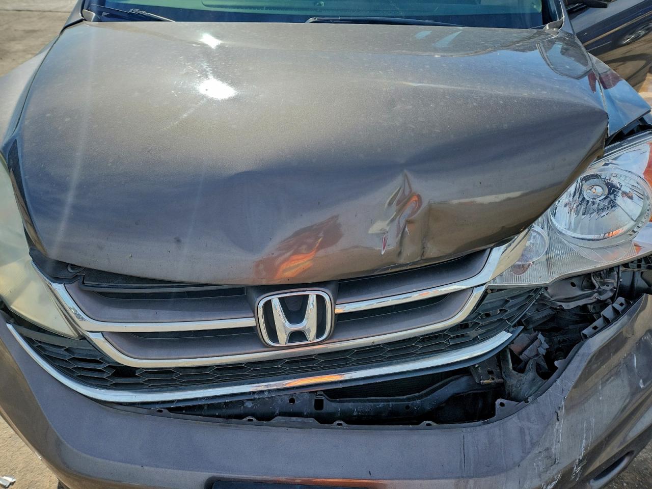 2010 Honda Cr-V Exl VIN: 5J6RE3H7XAL024635 Lot: 92751375