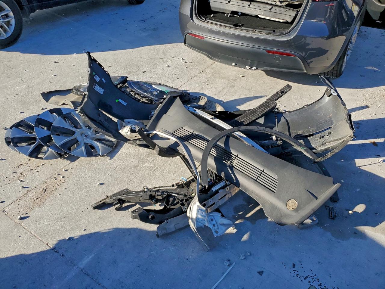 2023 Tesla Model Y VIN: 7SAYGDEF4PF831583 Lot: 93538075