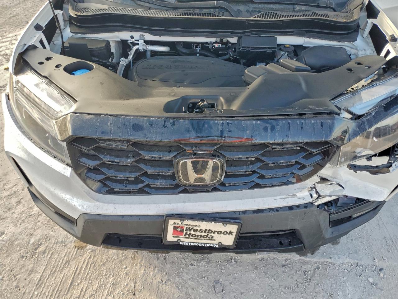 2023 Honda Passport Elite VIN: 5FNYF8H09PB012549 Lot: 94035735