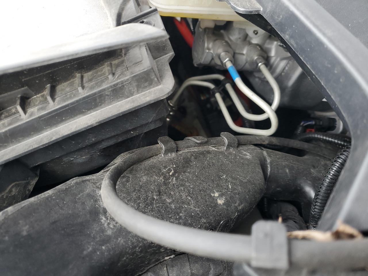 2023 Tesla Model Y VIN: 7SAYGDEE7PF694131 Lot: 87443615