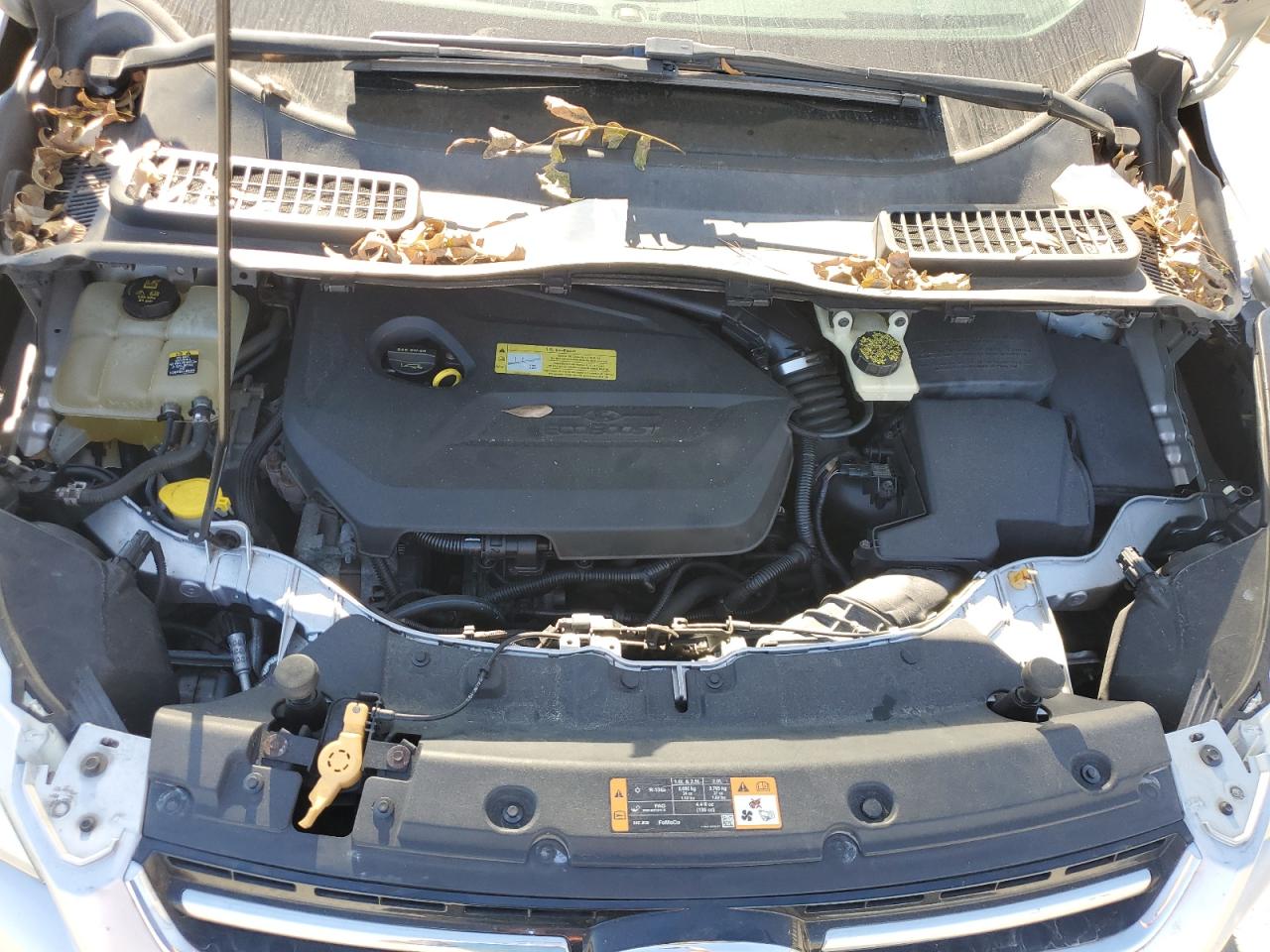 2013 Ford Escape Sel VIN: 1FMCU9HX0DUA03935 Lot: 93064445