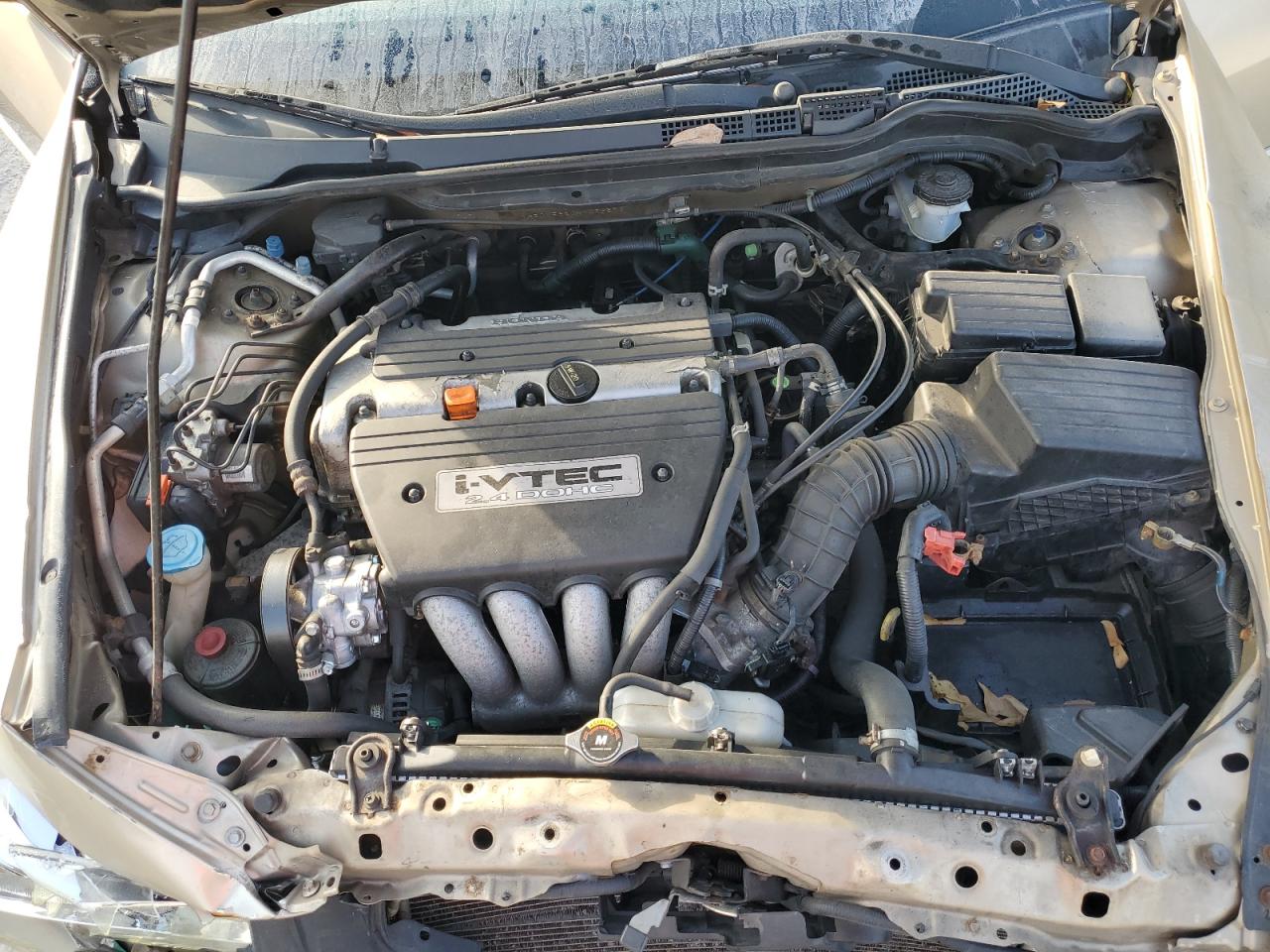 2004 Honda Accord Ex VIN: 1HGCM56604A033673 Lot: 93441765