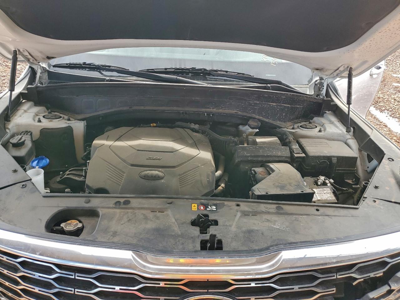 2021 Kia Telluride Sx VIN: 5XYP54HC1MG131024 Lot: 94129805