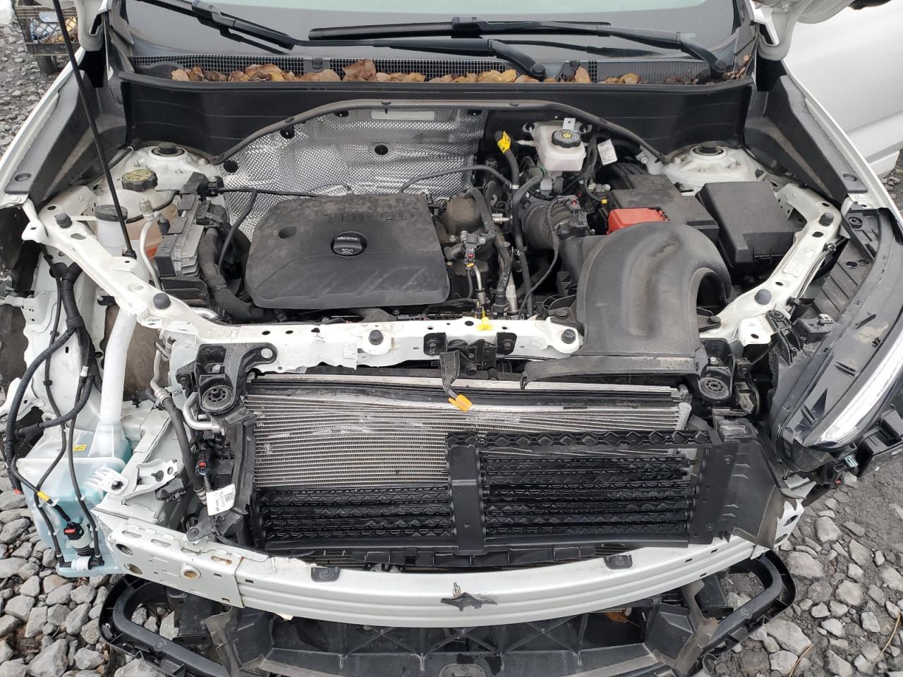 2024 Buick Encore Gx Avenir VIN: KL4AMGSLXRB017859 Lot: 91631485