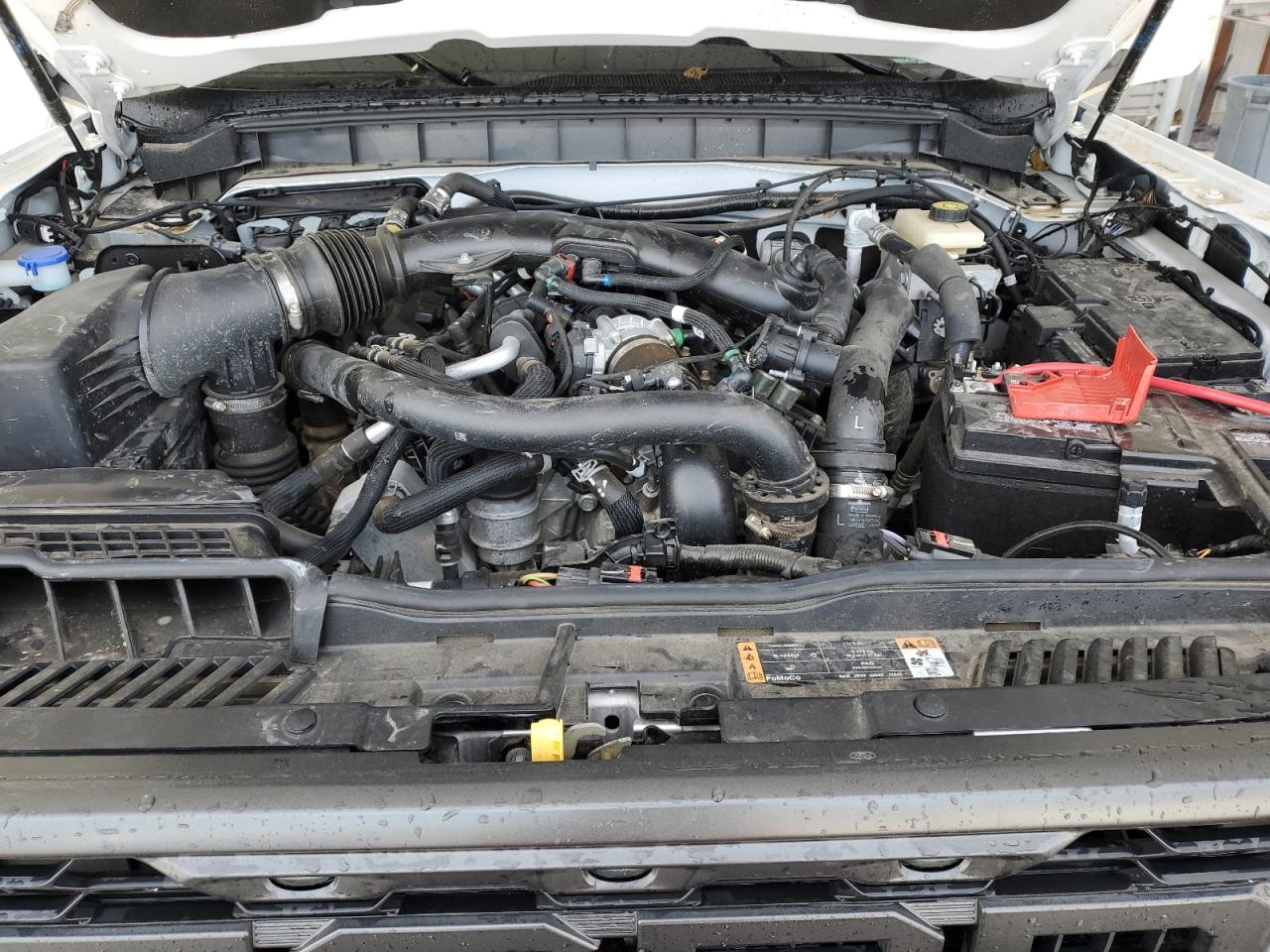 2024 Ford Bronco Raptor VIN: 1FMEE0RR0RLA01441 Lot: 91882085