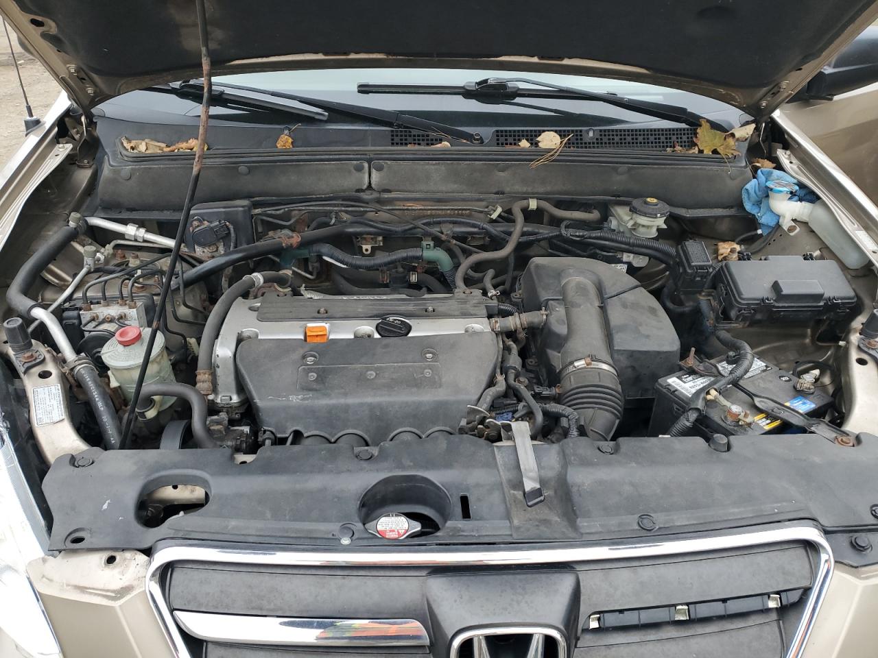 2005 Honda Cr-V Se VIN: SHSRD78975U319999 Lot: 92369075