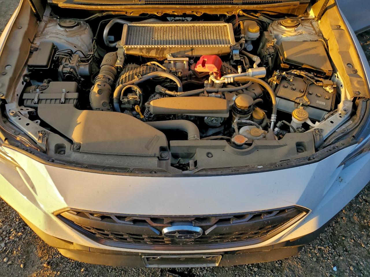 2023 Subaru Wrx Premium VIN: JF1VBAF69P9824768 Lot: 94919205