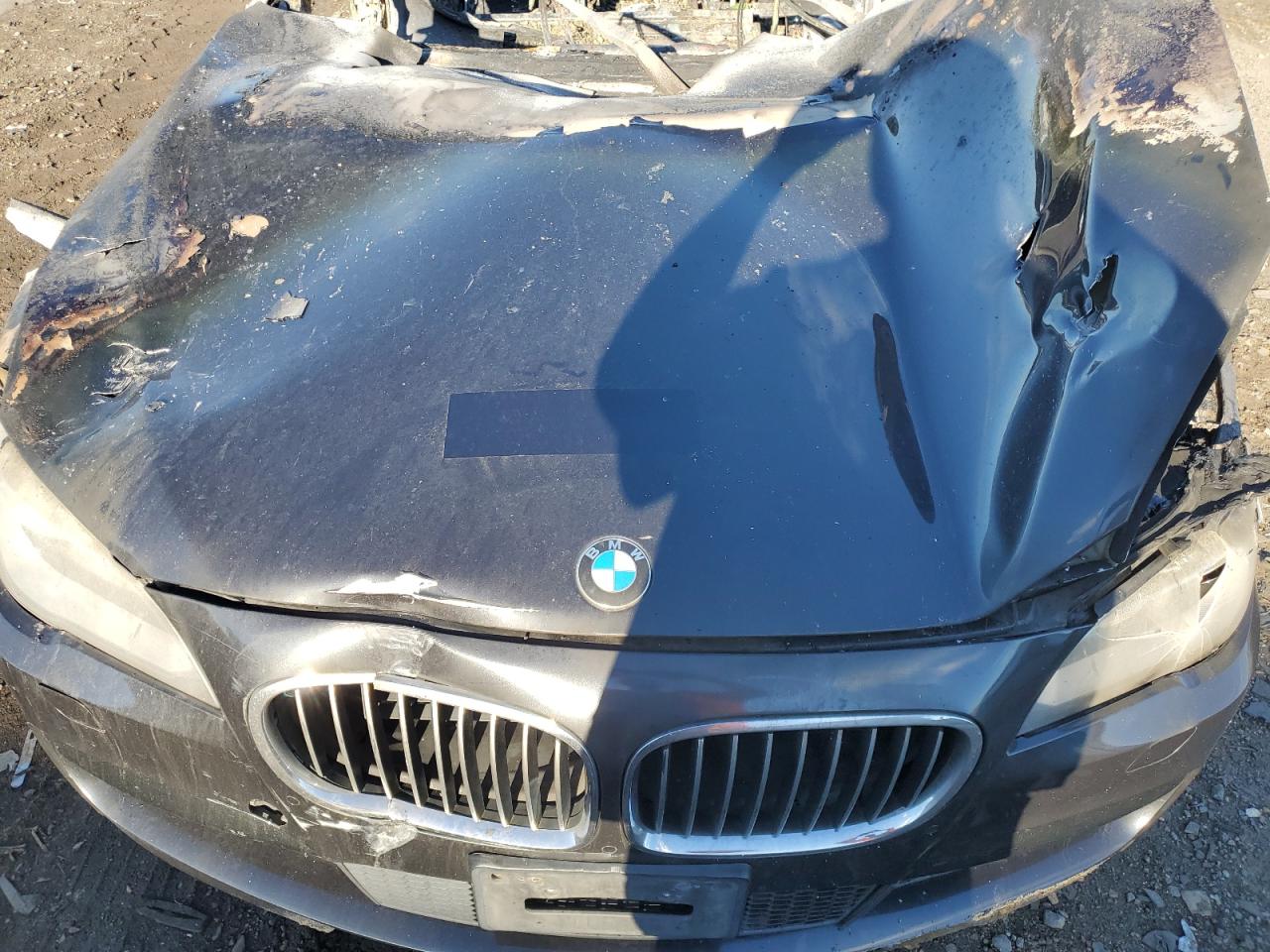 2015 BMW 750 Lxi VIN: WBAYF8C53FD655310 Lot: 93713675