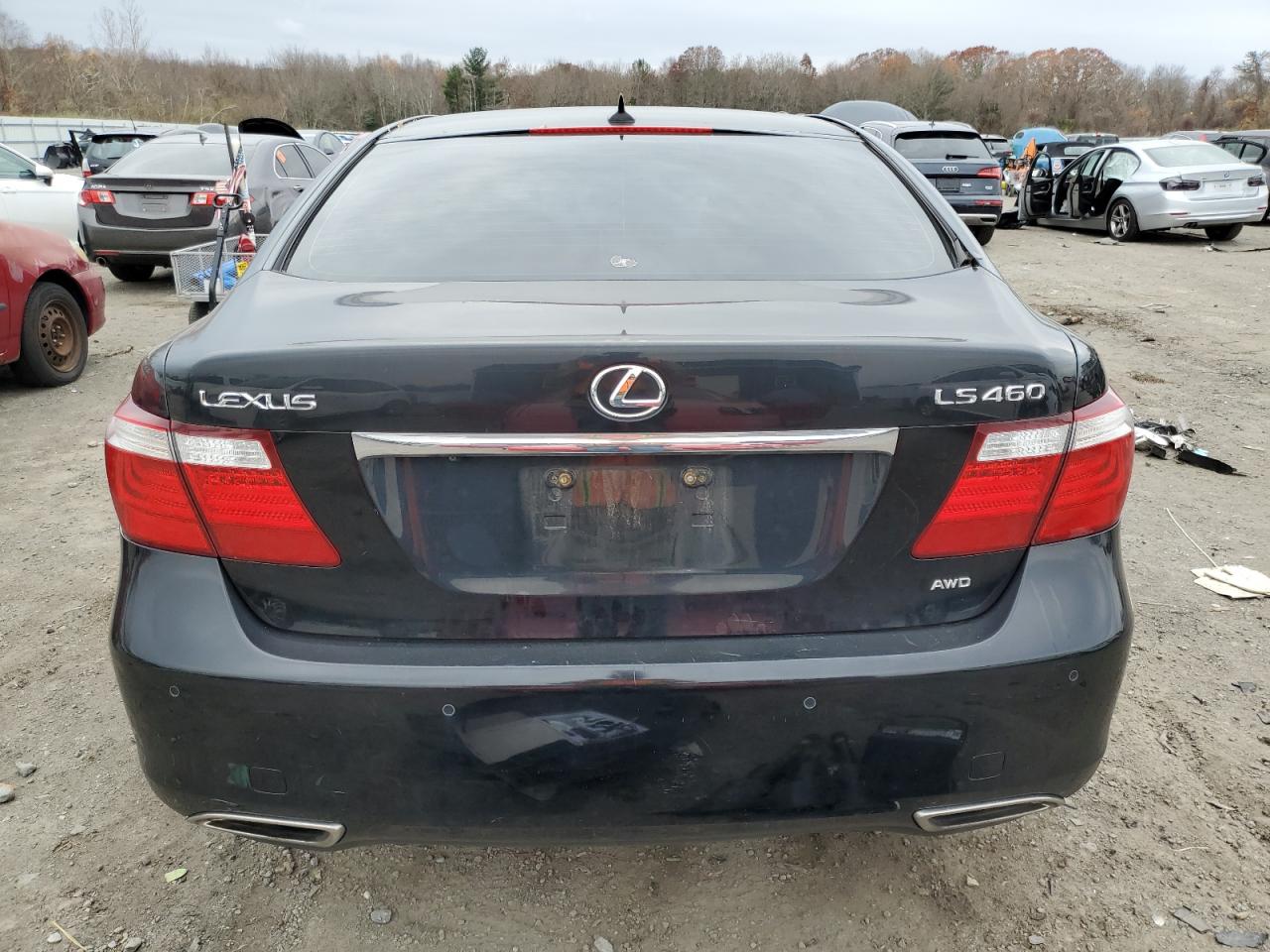 2009 Lexus Ls 460 VIN: JTHCL46F295002810 Lot: 91998525