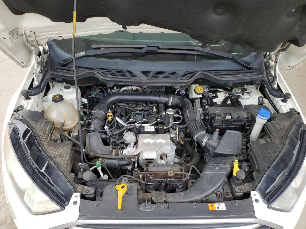 2019 Ford Ecosport Se VIN: MAJ3S2GE6KC283452 Lot: 92099065