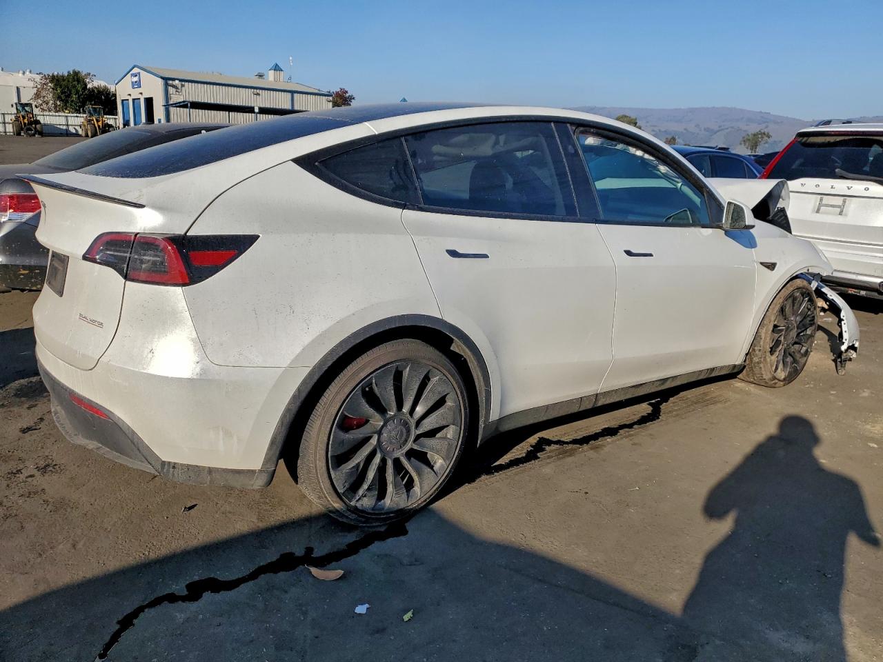 2025 Tesla Model Y VIN: 7SAYGDEFXSF299877 Lot: 94251095