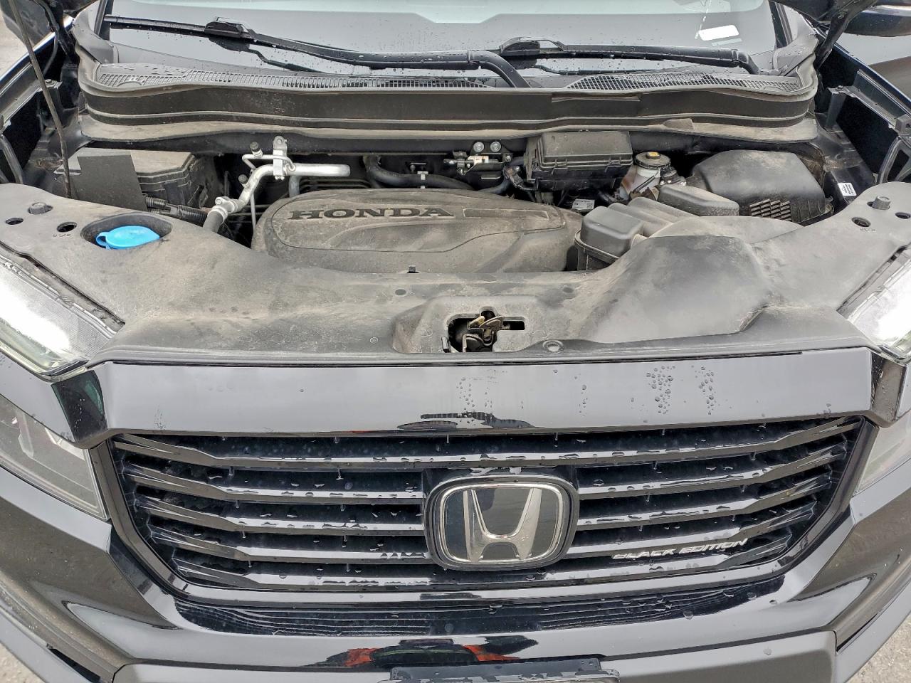 2024 Honda Passport Black Edition VIN: 5FNYF8H86RB002666 Lot: 94411025