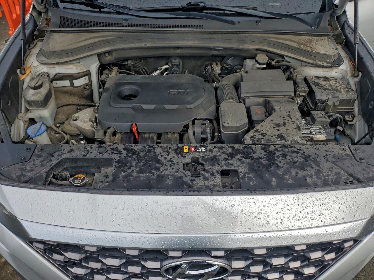 2020 Hyundai Santa Fe Se VIN: 5NMS2CAD8LH164994 Lot: 93654945