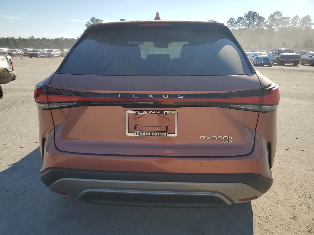 2025 Lexus Rx 350H Base VIN: 2T2BBMCA6SC090497 Lot: 91012555