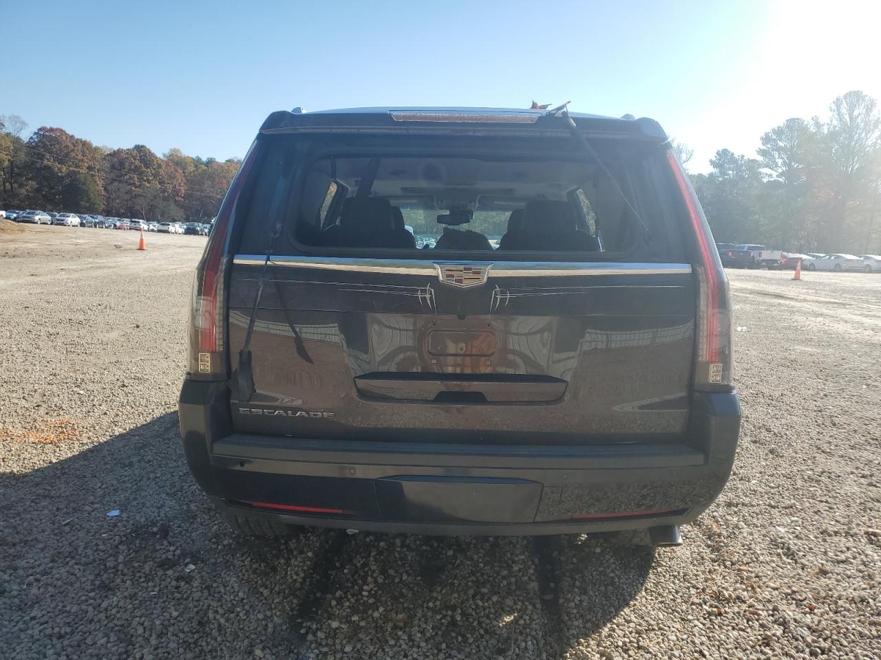 2015 Cadillac Escalade Luxury VIN: 1GYS4MKJ0FR710928 Lot: 91768465