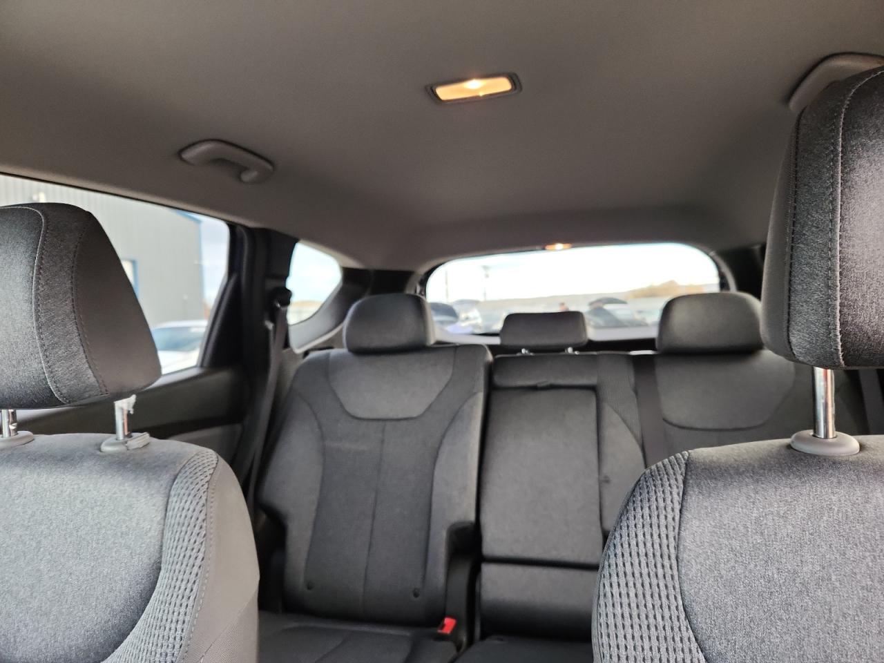 2020 Hyundai Santa Fe Sel VIN: 5NMS3CAD0LH255092 Lot: 92480085