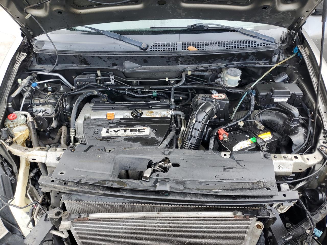 2008 Honda Element Sc VIN: 5J6YH18908L004056 Lot: 93780225