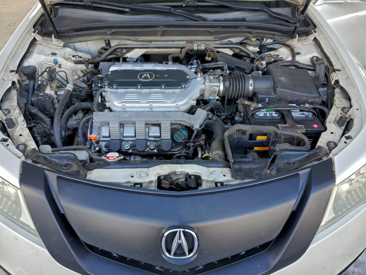 2009 Acura Tl VIN: 19UUA86509A023707 Lot: 93280445