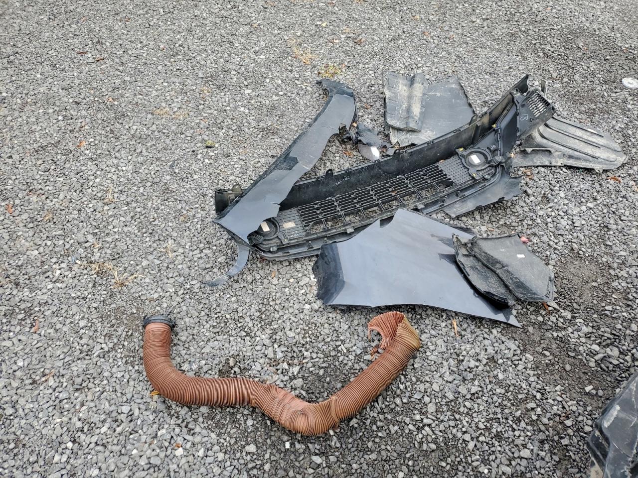 2019 Kia Forte Ex VIN: 3KPF54AD4KE124447 Lot: 93607425