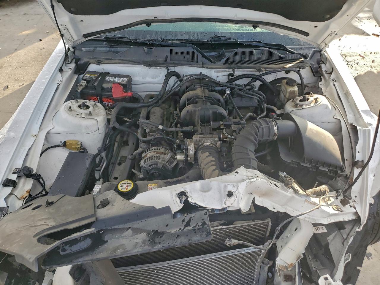 2010 Ford Mustang VIN: 1ZVBP8AN1A5132652 Lot: 93905845