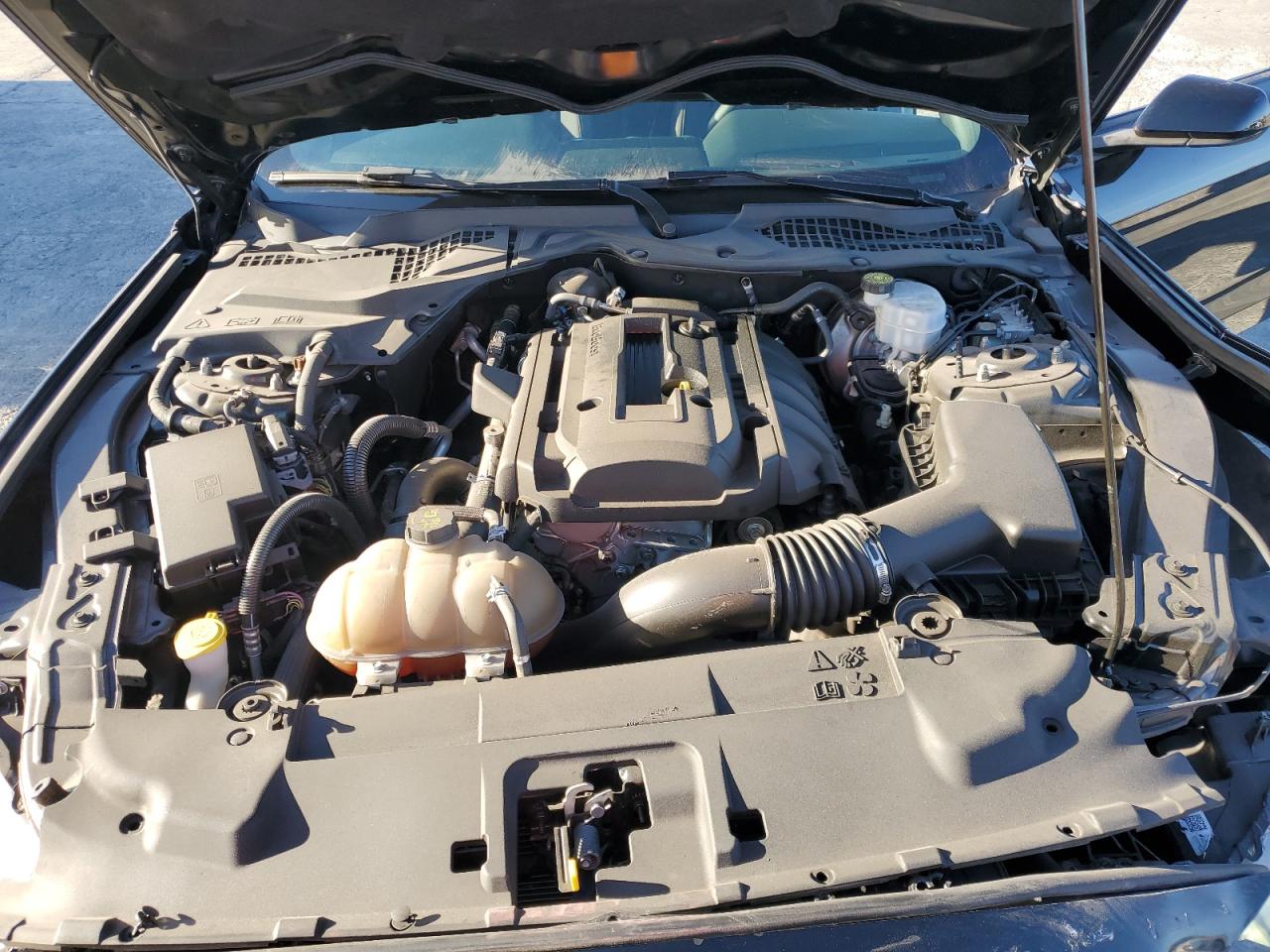 2018 Ford Mustang VIN: 1FA6P8TH2J5176371 Lot: 92123095