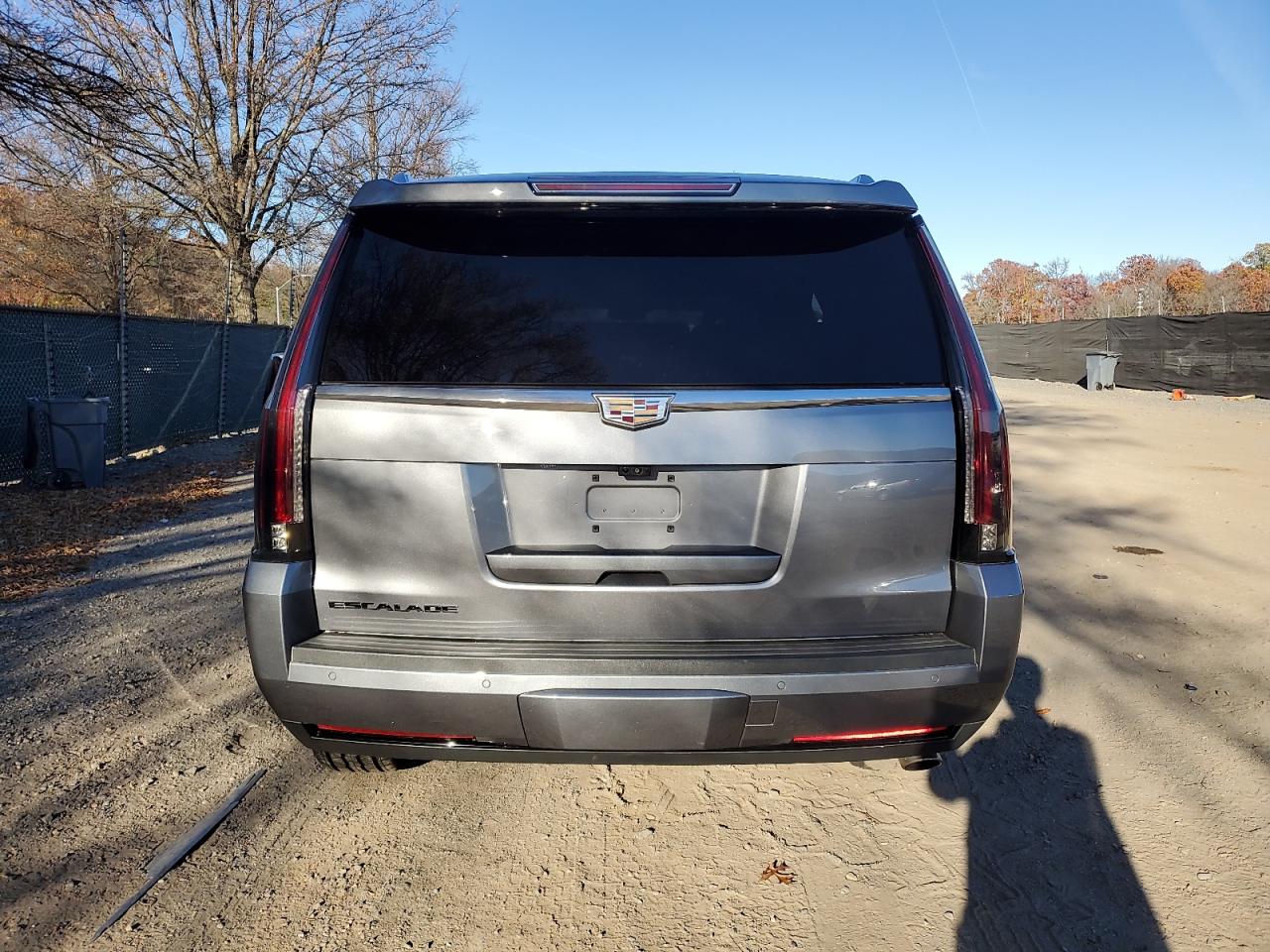 2020 Cadillac Escalade Luxury VIN: 1GYS4BKJ3LR160110 Lot: 91841745
