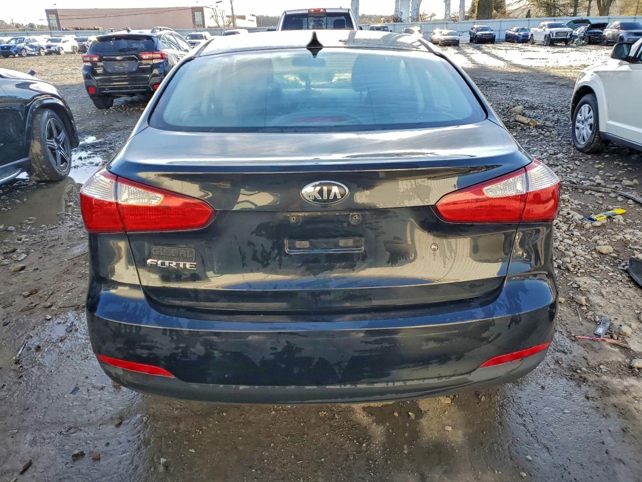2014 Kia Forte Lx VIN: KNAFK4A69E5222302 Lot: 94029165