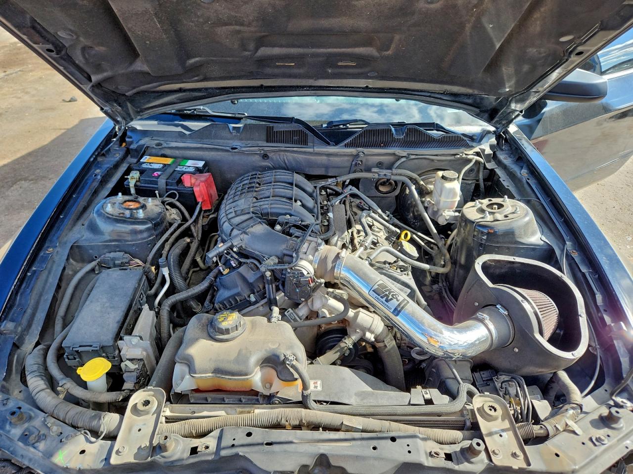 2013 Ford Mustang VIN: 1ZVBP8AM5D5241319 Lot: 93707315