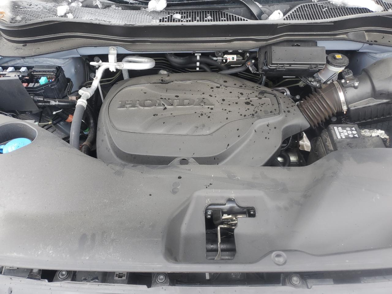 2025 Honda Passport Trail Sport VIN: 5FNYF8H69SB500879 Lot: 92401645