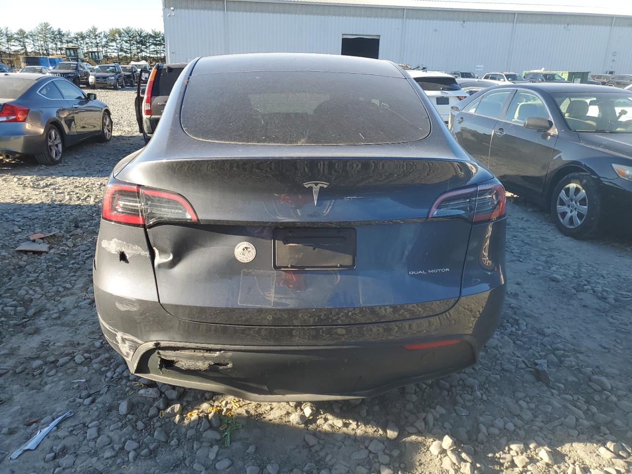 2023 Tesla Model Y VIN: 7SAYGDEE0PA033540 Lot: 90641985