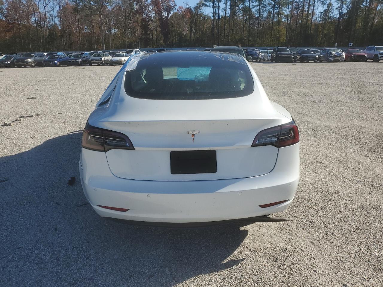 2019 Tesla Model 3 VIN: 5YJ3E1EA5KF483883 Lot: 92122665