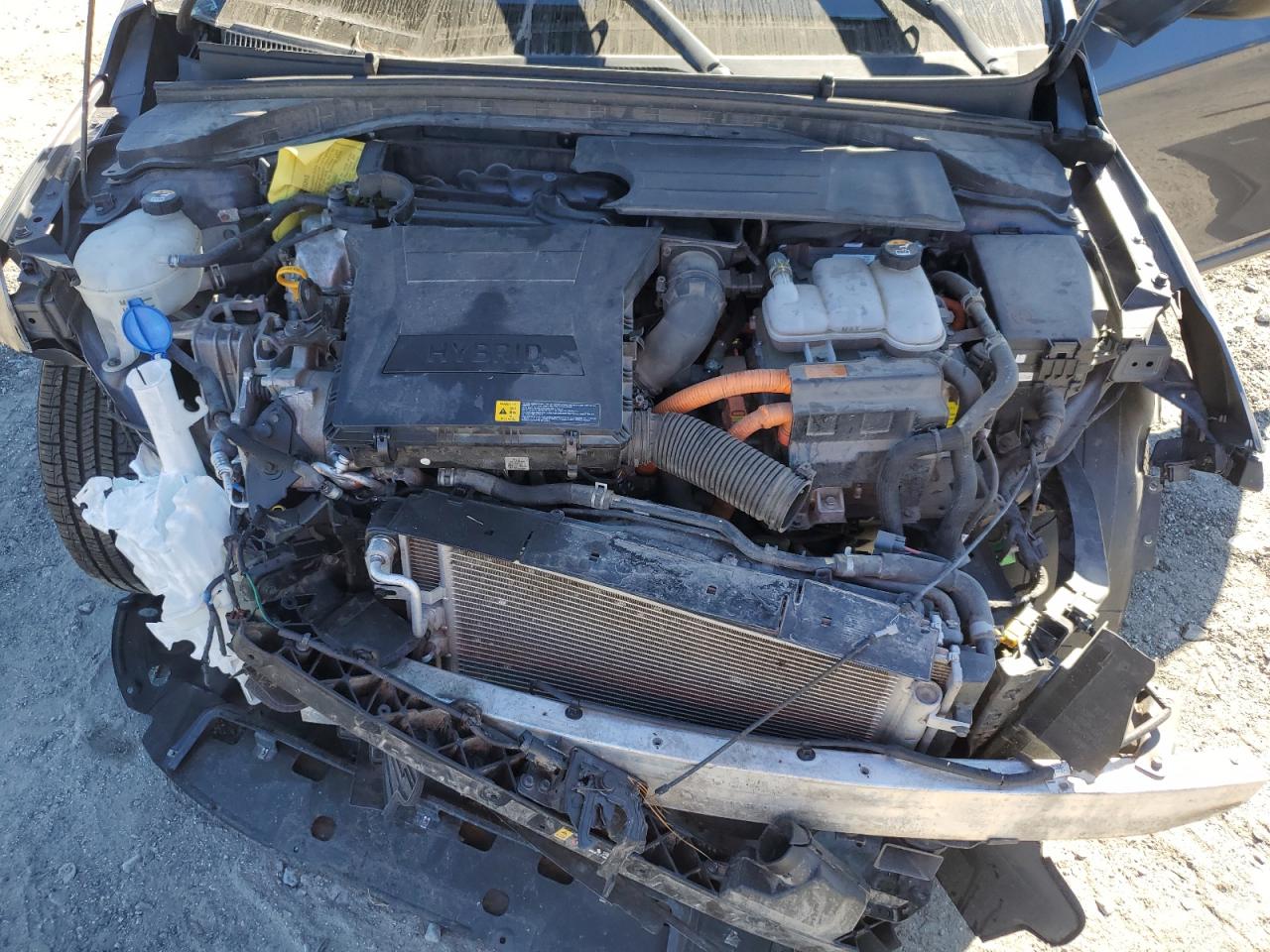 2017 Hyundai Ioniq Sel VIN: KMHC75LC6HU049229 Lot: 93184715