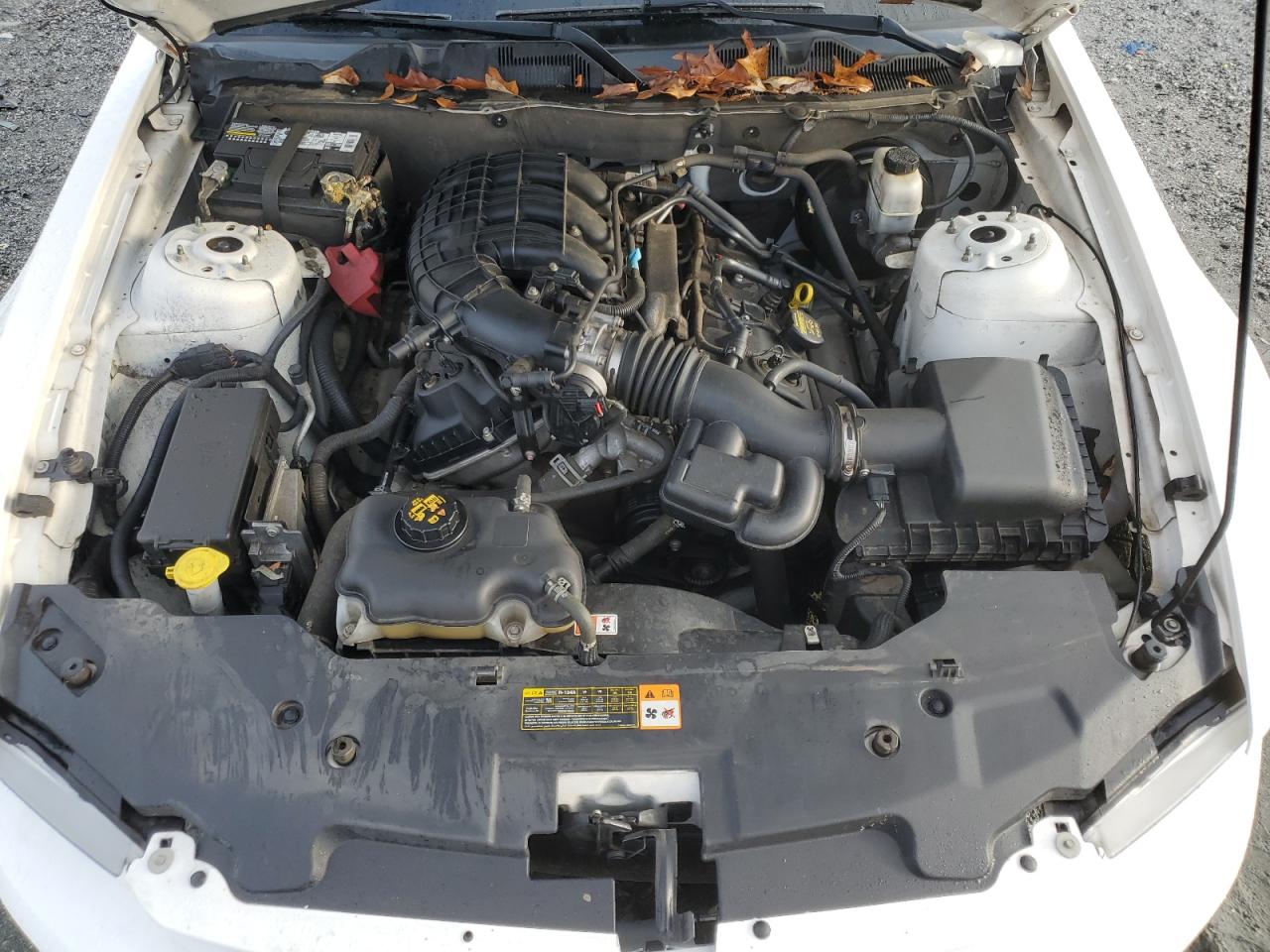 2011 Ford Mustang VIN: 1ZVBP8AM9B5158182 Lot: 91313125