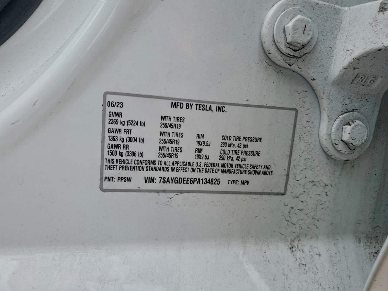 2023 Tesla Model Y VIN: 7SAYGDEE6PA134825 Lot: 93947535