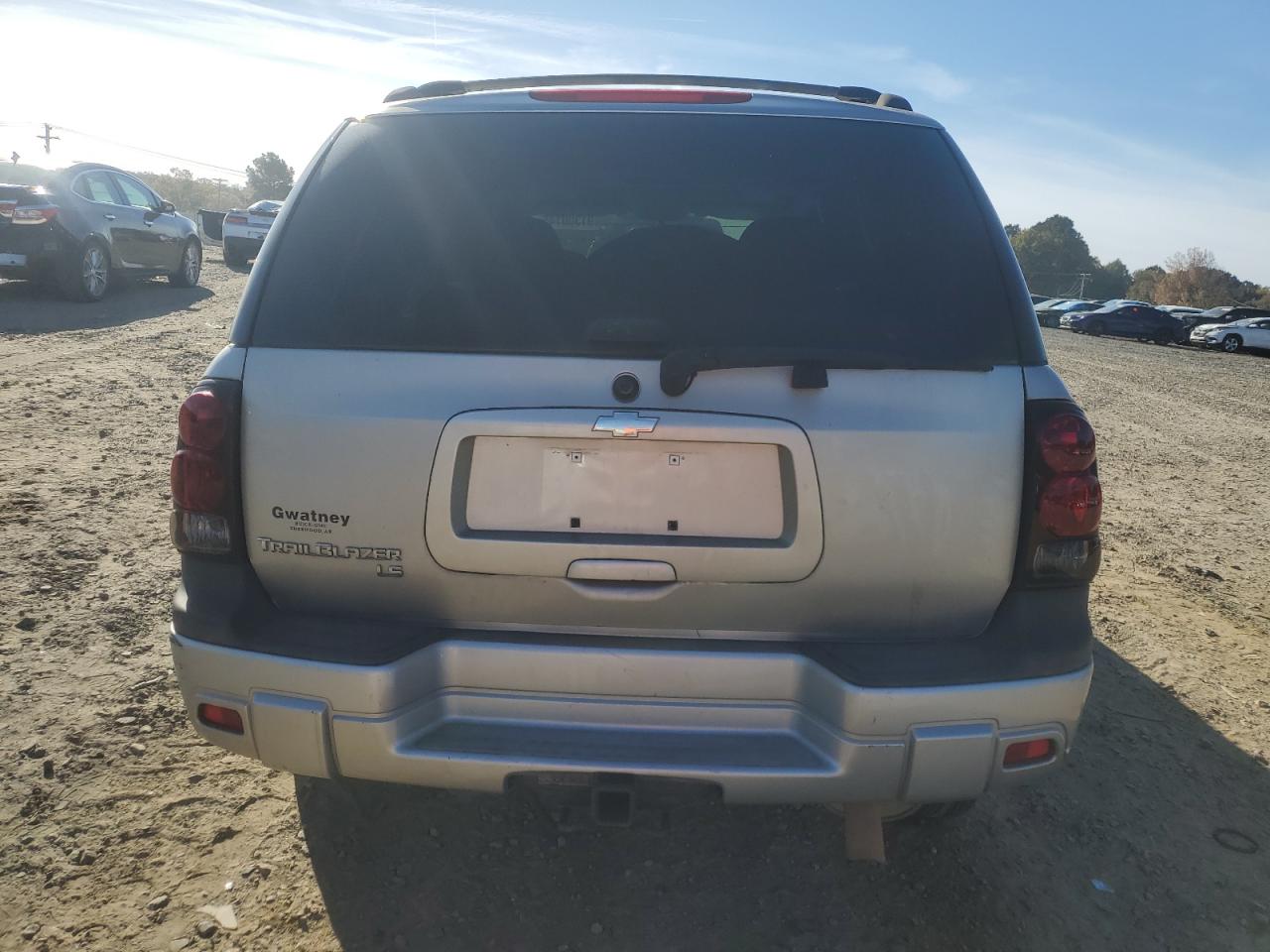 2007 Chevrolet Trailblazer Ls VIN: 1GNDT13S372181421 Lot: 91300145