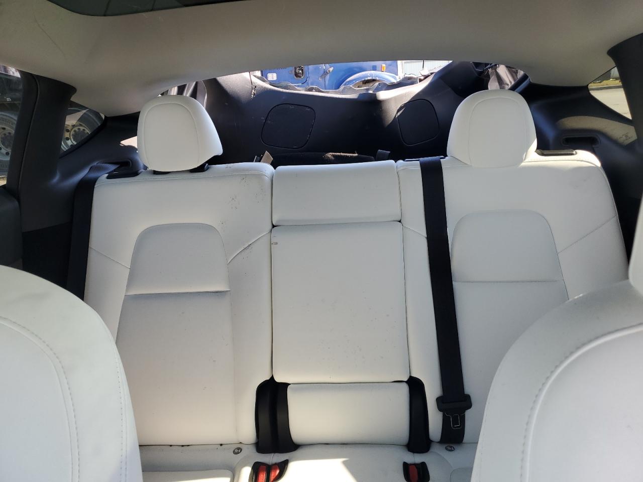 2024 Tesla Model Y VIN: 7SAYGDEF3RA302092 Lot: 91639535