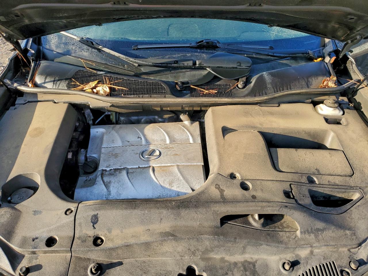 2010 Lexus Rx 350 VIN: 2T2BK1BA2AC044776 Lot: 94221805