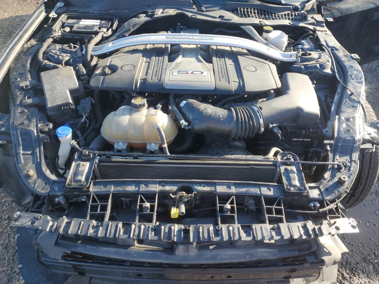 2020 Ford Mustang Gt VIN: 1FA6P8CF9L5159052 Lot: 89507125