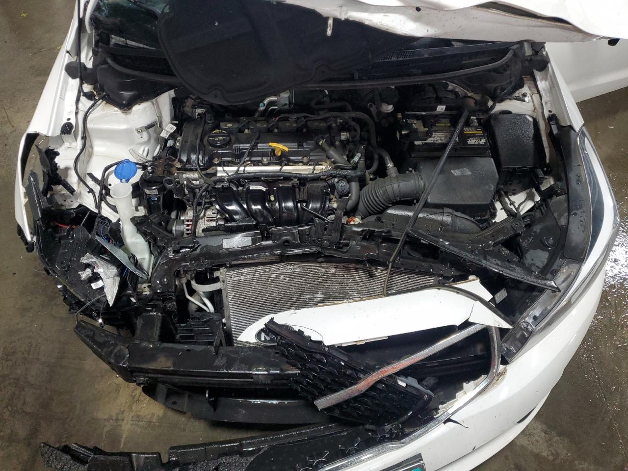 2017 Kia Forte Lx VIN: 3KPFL4A77HE009849 Lot: 92056945