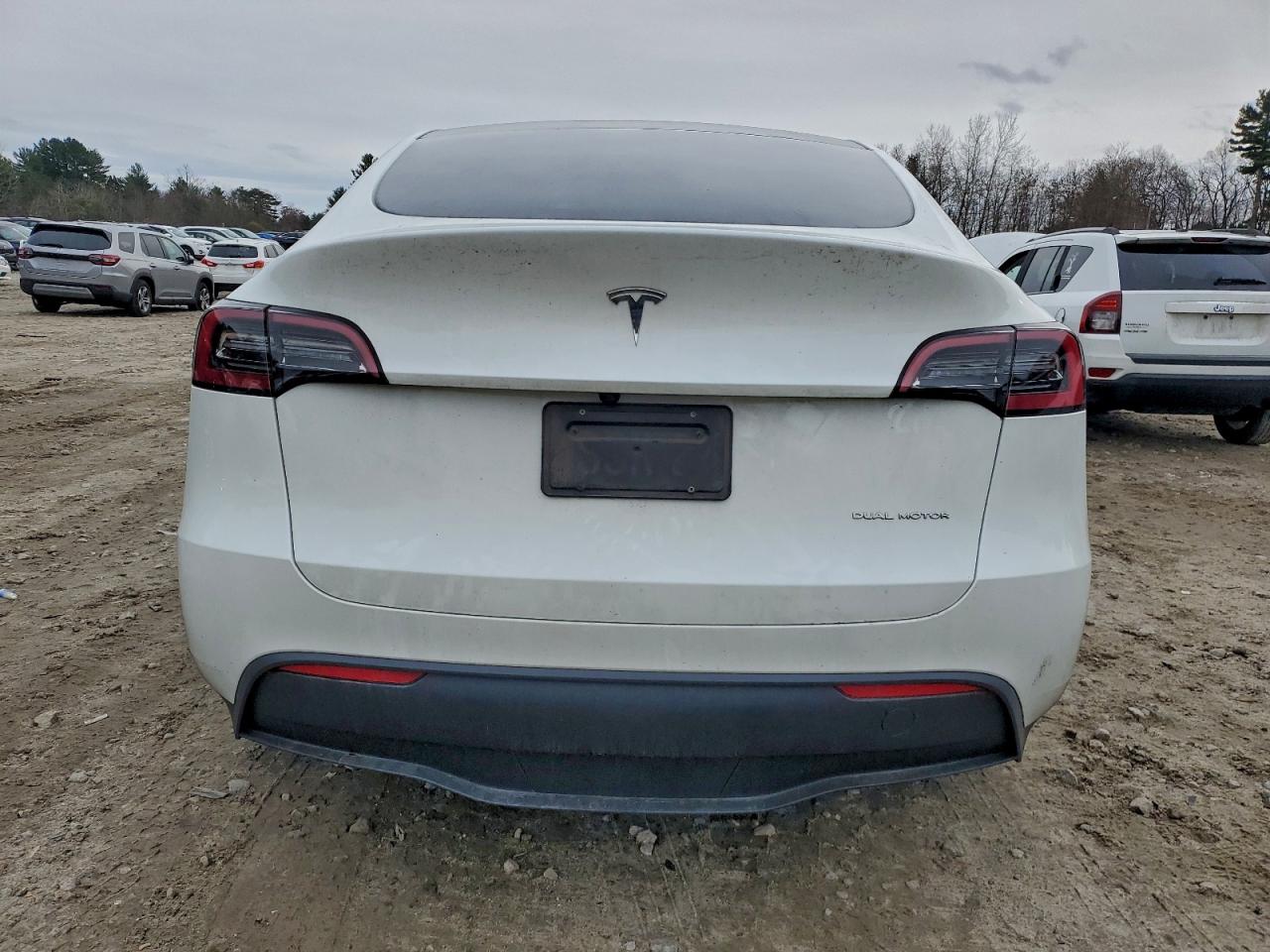 2023 Tesla Model Y VIN: 7SAYGDEE6PA134825 Lot: 93947535