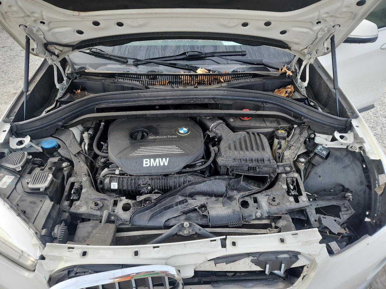 Фото: WBXHU7C34H5H34960