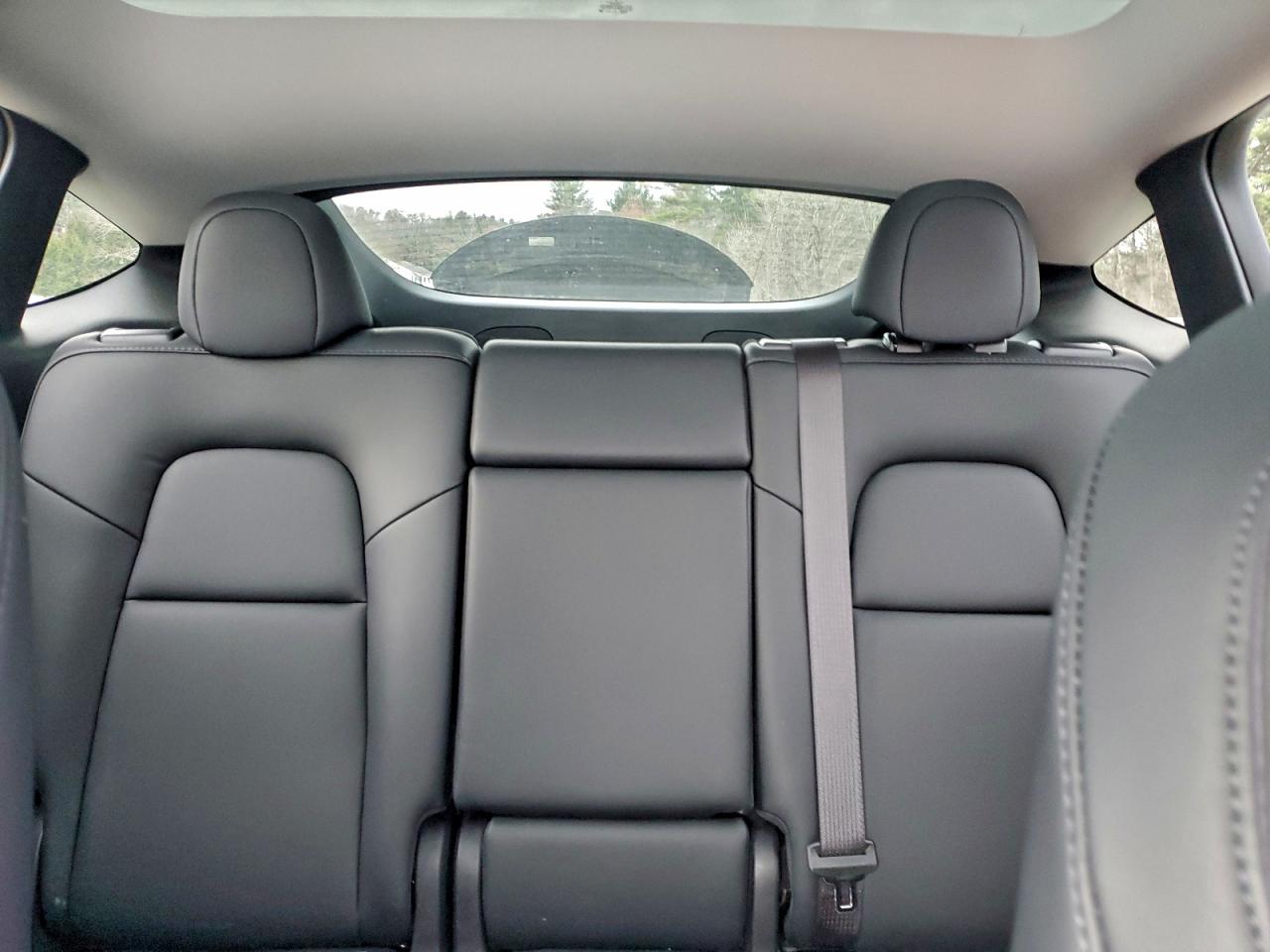 2023 Tesla Model Y VIN: 7SAYGDEE6PA134825 Lot: 93947535