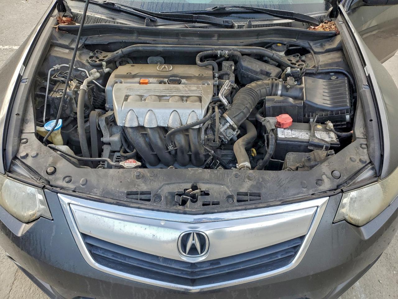 2013 Acura Tsx VIN: JH4CU2F45DC006435 Lot: 94233665