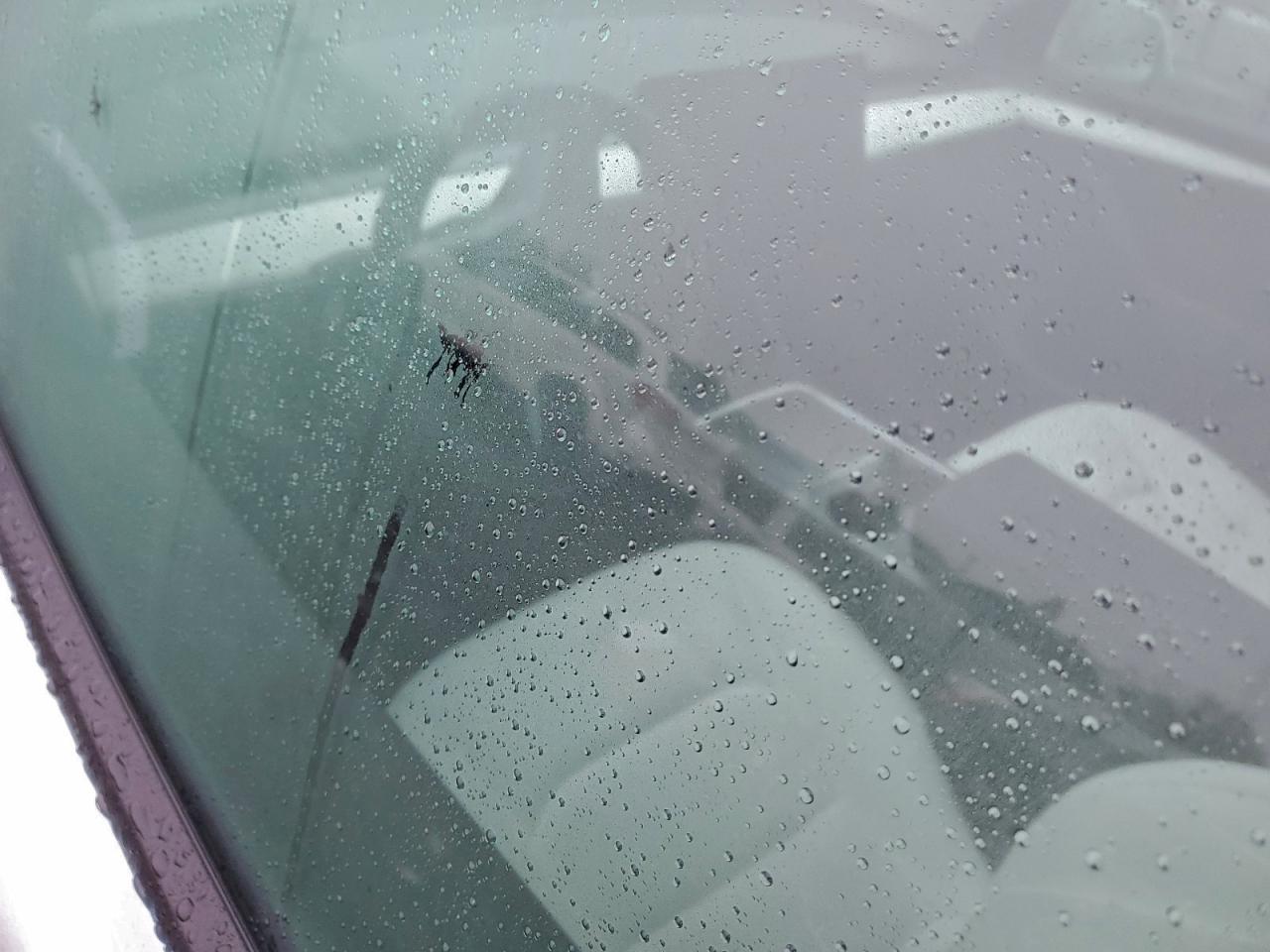 2023 Tesla Model Y VIN: 7SAYGDEE2PF609079 Lot: 93918845