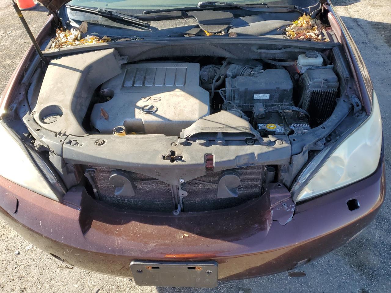 2009 Lexus Rx 350 VIN: JTJHK31U592061455 Lot: 93082615