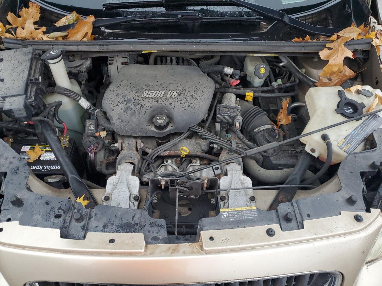 2005 Buick Terraza Cxl VIN: 5GADV33L35D243197 Lot: 92441165