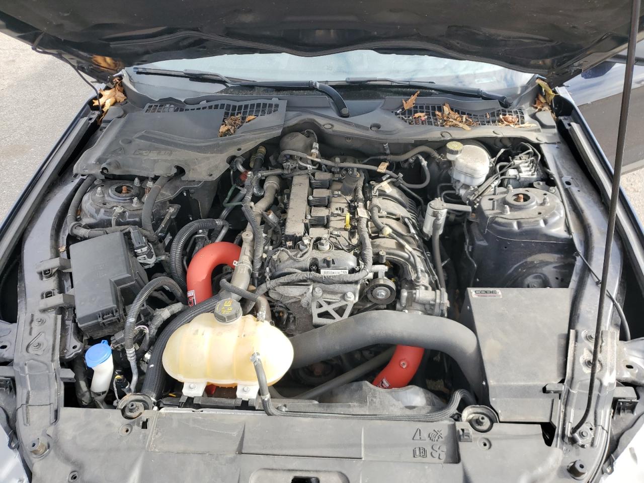 2021 Ford Mustang VIN: 1FA6P8TH8M5133075 Lot: 92686085