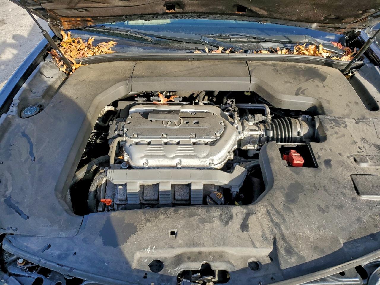 2014 Acura Tl Se VIN: 19UUA8F32EA005010 Lot: 94152395