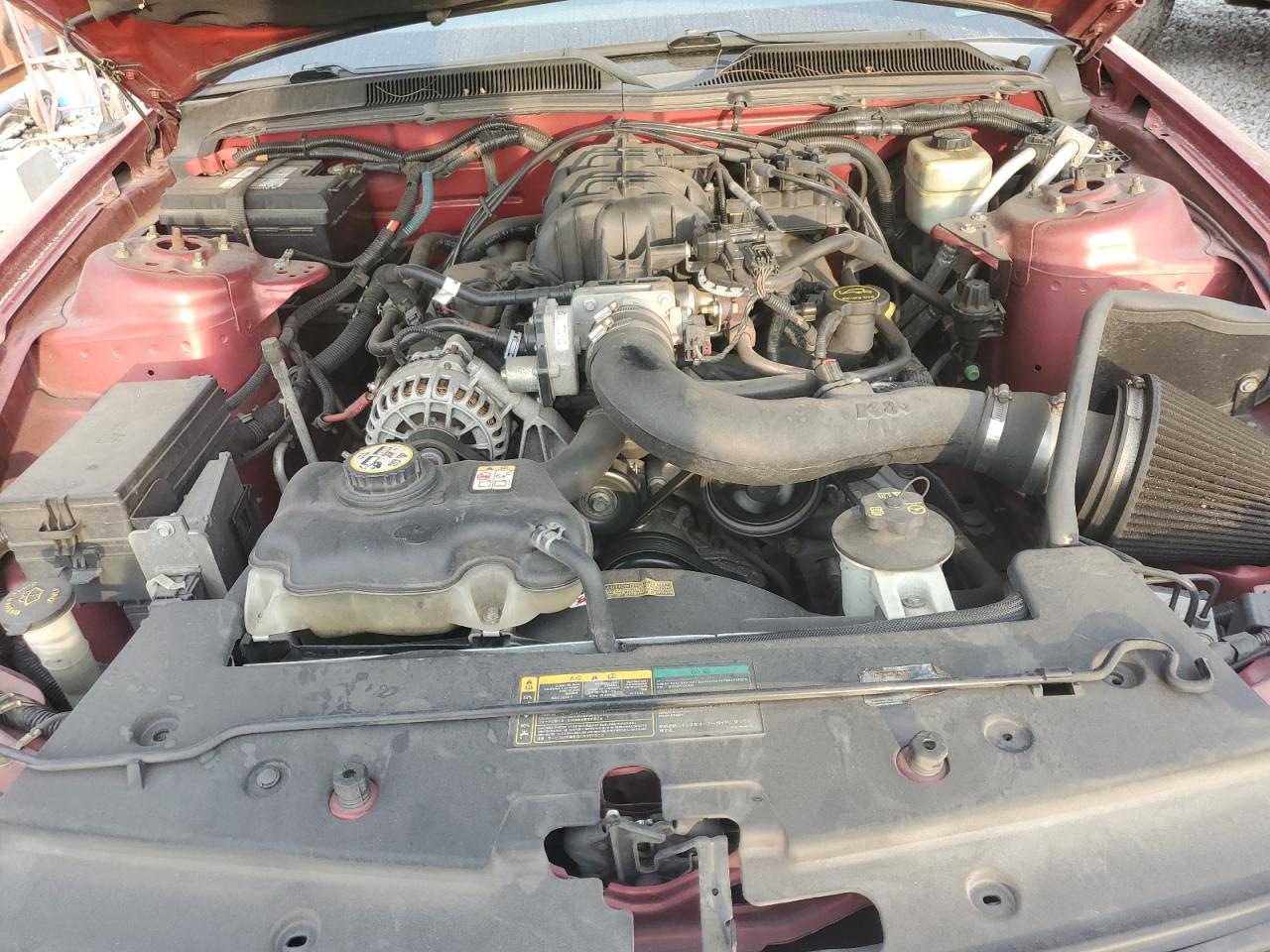 2006 Ford Mustang VIN: 1ZVFT80N265234905 Lot: 93974095